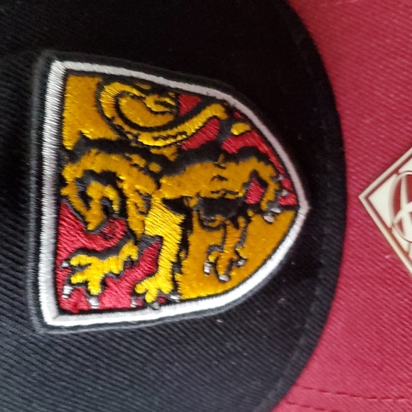 Harry Potter GRYFFINDOR ADJUSTABLE SNAPBACK HAT- Brand new - Picture 2 of 8